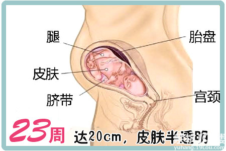 怀孕宝宝听见爸爸的声音,23天新生儿听懂爸爸说话的小视频