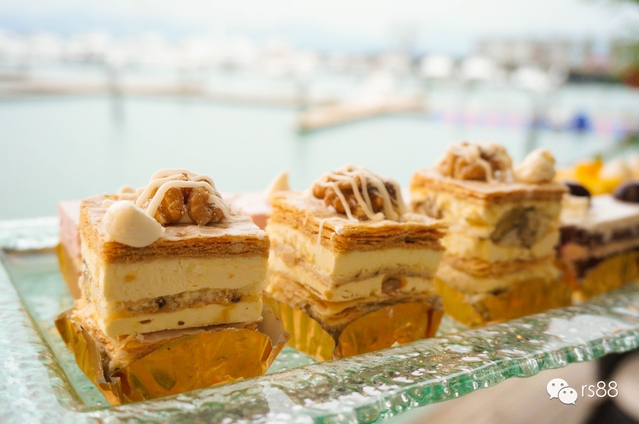 42鑻卞昂璞崕娓歌墖涔嬫梾,rs-88