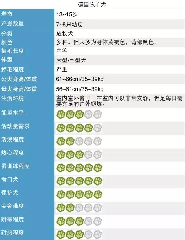 唯一全能犬德牧,全能狗德牧