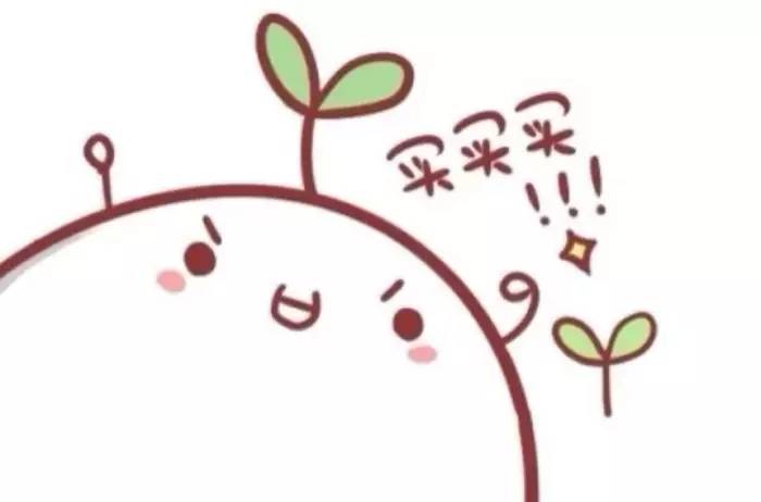 出国机票购买流程,出国最便宜的航空公司