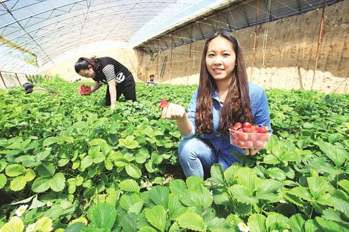 脱贫攻坚地方特色,吕梁脱贫攻坚的特色有哪些