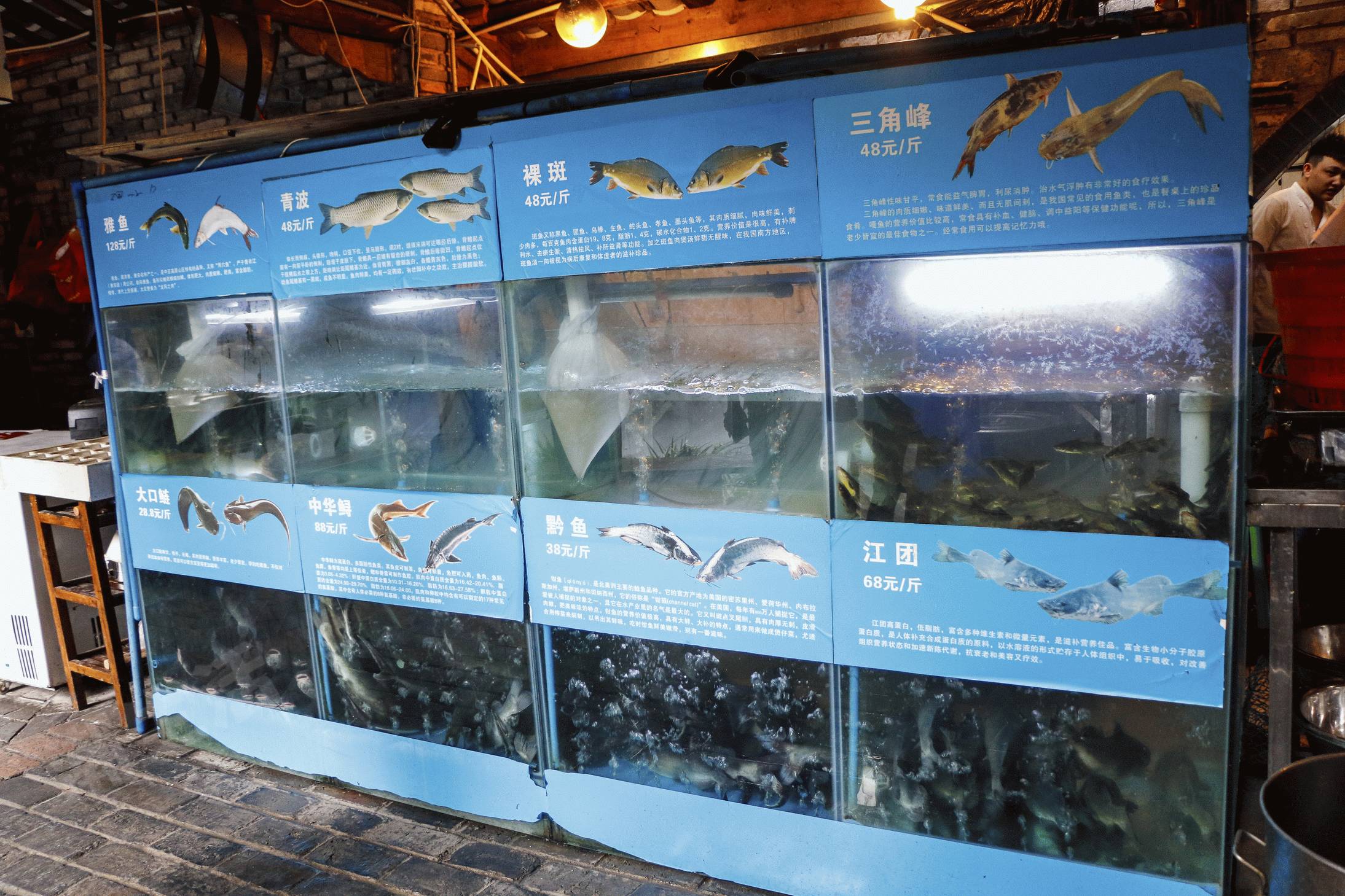 闈欒哀灏忛櫌涓村畨,闈欒哀灏忛櫌鏄嗘槑