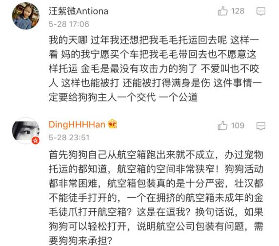 宠物狗能不能上飞机托运,飞机托运狗狗受伤