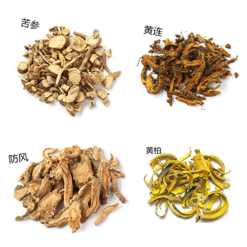 击退小疹子,四种方法帮你止痒