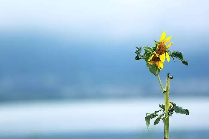 夏天就该去玩,夏天就去丽江旅游