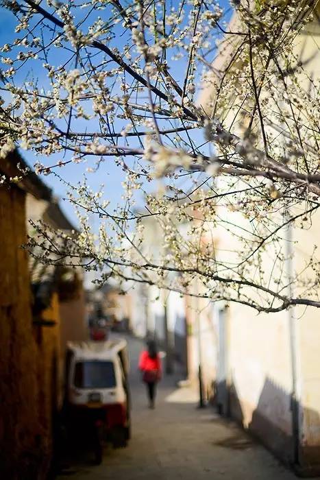 夏天就该去玩,夏天就去丽江旅游