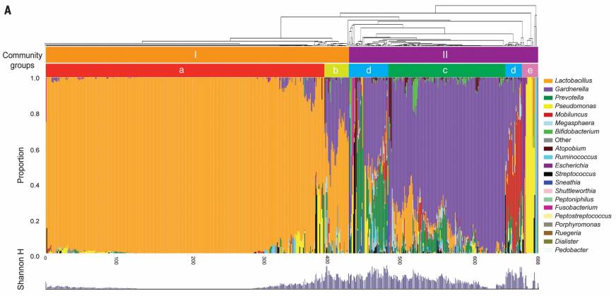 《科学》：厉害了！阴道微生物竟然对药物疗效有这么大影响力｜临床大发现