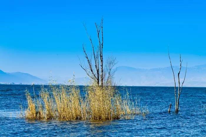 夏天就该去玩,夏天就去丽江旅游