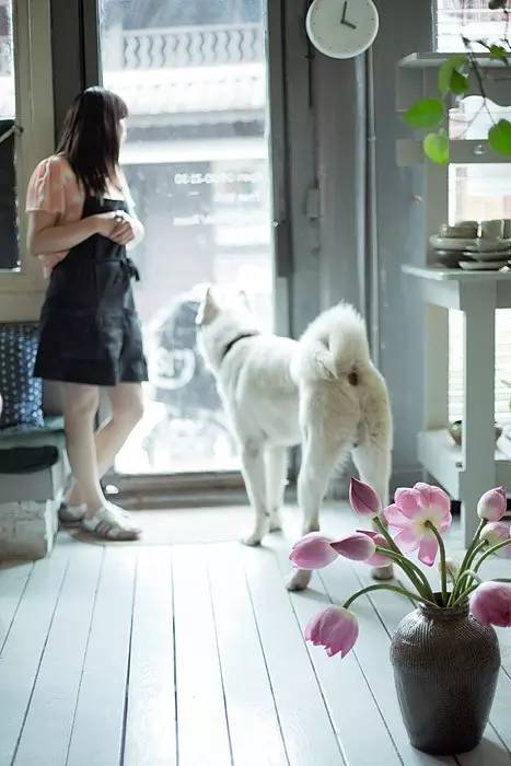 夏天就该去玩,夏天就去丽江旅游