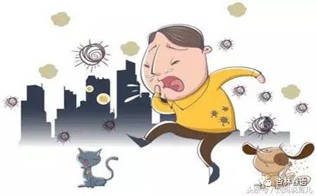 中医体质辨识九种体质口诀,中医体质辨识九种体质对照表