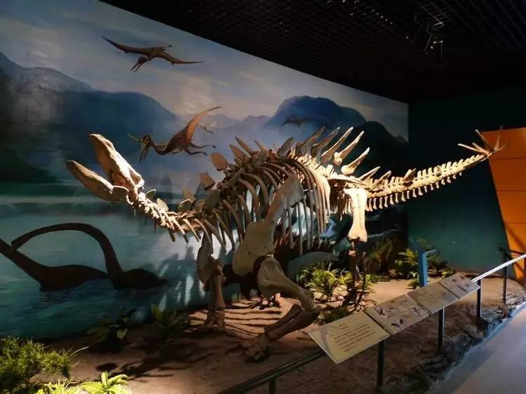 武汉又加开高铁线了，去兰州、乌鲁木齐这些地方玩，省钱又省时啦！