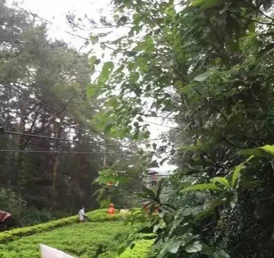 妗傛灄灏у北缂嗚溅浜嬩欢瑙嗛,妗傛灄灏у北绱㈤亾鏁呴殰