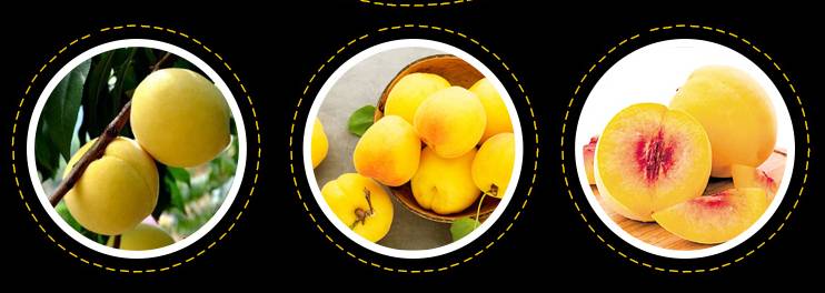 团购预告丨吃货福利！法国进口米其林厨师指定宝宝辅食黄金搭档菲利普维尚核桃油+营养小面肝粉+你不能错过爽翻一夏的零食大礼包！