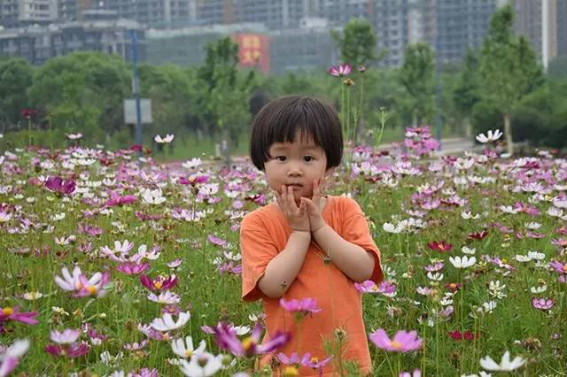 国旅学院的冷餐会不错噢学生证补办流程你都知道？心仪的课程抢到了嘛？周知师大与你一起（5.28—6.2）
