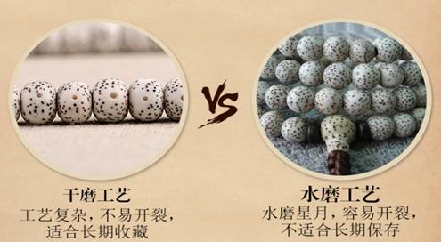 星月菩提文玩相关知识,星月菩提老籽科普介绍