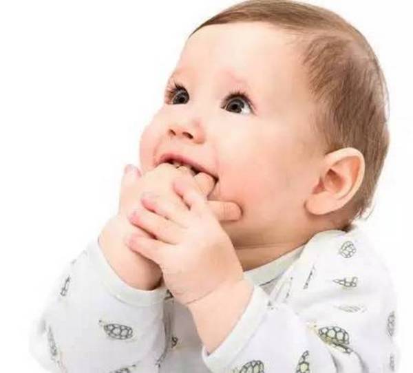 美国horizonorganic奶粉,美国雅培奶粉有哪些品牌