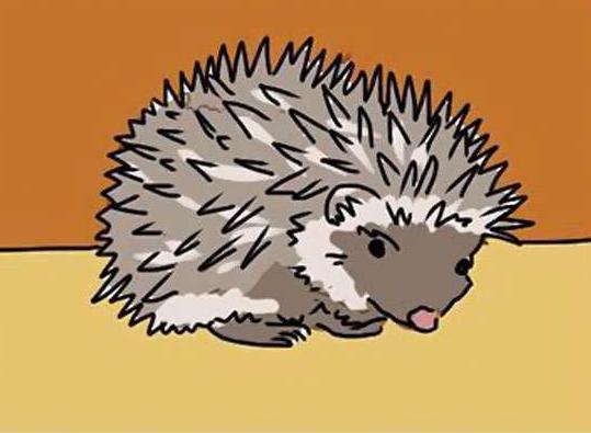 只有女人才会懂得自己的痛苦,只有女人能懂得痛苦