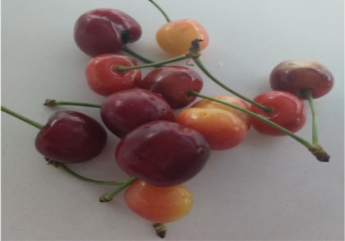 捕获迷之小屁屁一对，尝尝味道还不错