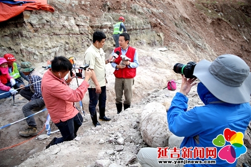 恐龙挖掘现场直播,恐龙化石发掘现场直播