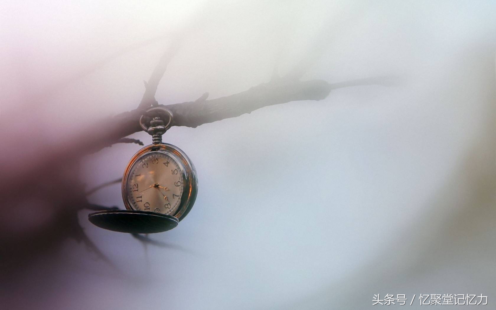 成语趣味记忆法,易错成语口诀大全