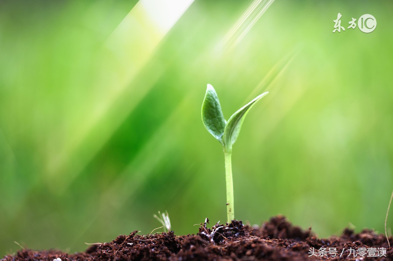 你为什么选择创业而不是打工,创业和就业如何选择