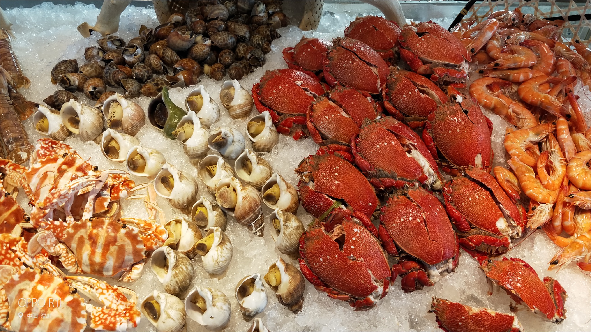 oppor11评测2019,oppor11开箱2019