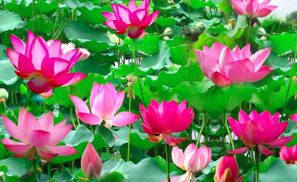 义乌之心位置,义乌之心里面都有什么