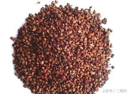 吃葡萄籽到底能不能美白,葡萄籽能美白皮肤吗