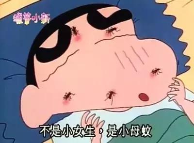 蟑螂老鼠蚊子苍蝇哪个最难对付,怎么对付蟑螂和蚊子和蚂蚁