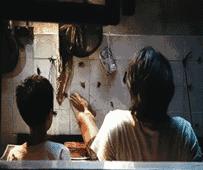 蟑螂老鼠蚊子苍蝇哪个最难对付,怎么对付蟑螂和蚊子和蚂蚁