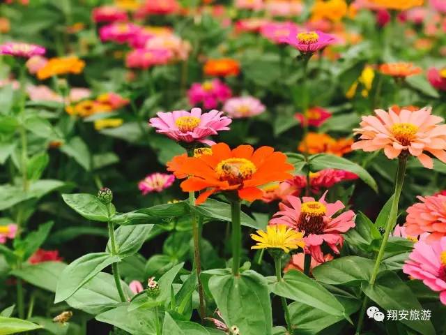 自驾旅行不辜负每一刻好时光 (趁着周末闲暇时间自驾出游)