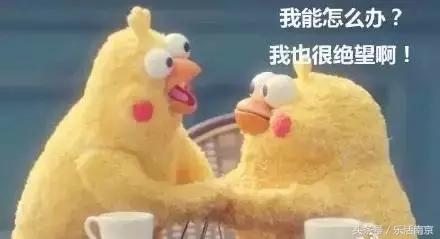 毕业省钱租房攻略,南京毕业季租房