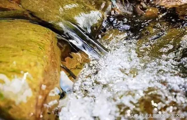 传说泡“山泉水”的三大好处，真有这么神？