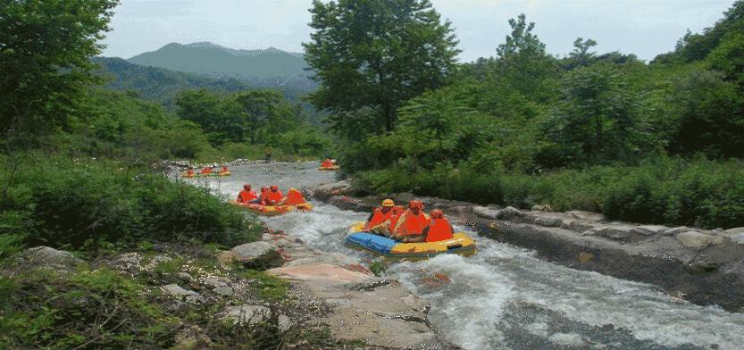 传说泡“山泉水”的三大好处，真有这么神？