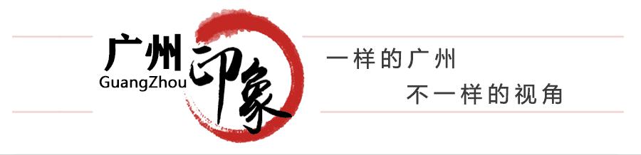 蟑螂老鼠蚊子苍蝇哪个最难对付,怎么对付蟑螂和蚊子和蚂蚁