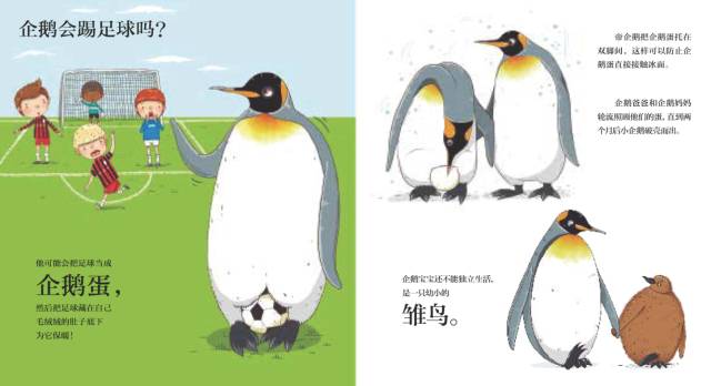 有趣又涨知识的冷科普绘本,儿童必看的自然科普绘本