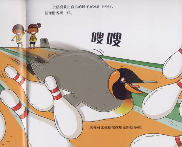 有趣又涨知识的冷科普绘本,儿童必看的自然科普绘本