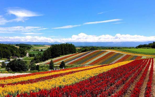 性价比出国游推荐,5000元出境游推荐