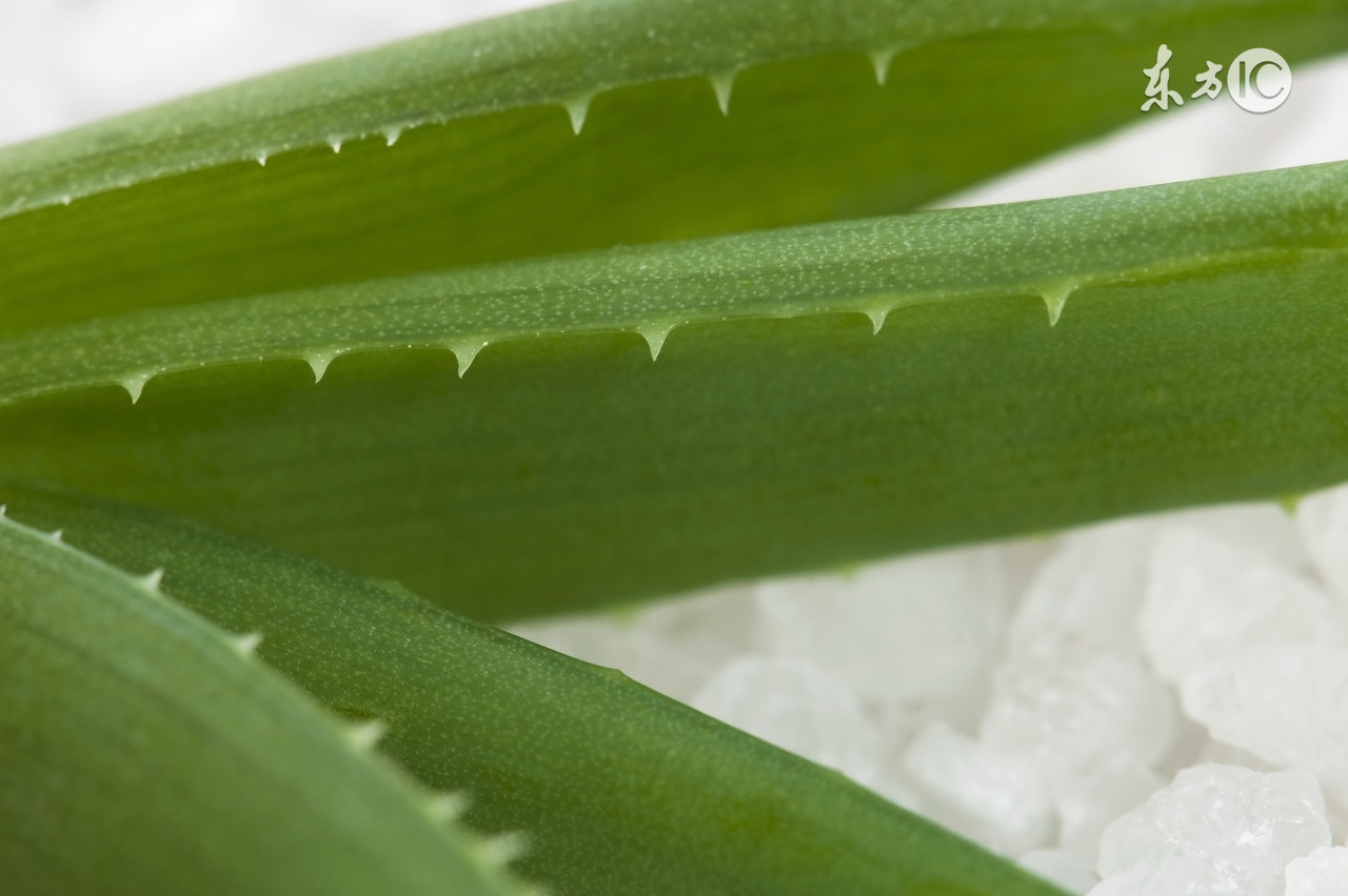 芦荟胶可以起到护肤效果吗,芦荟胶是功效型的护肤品吗