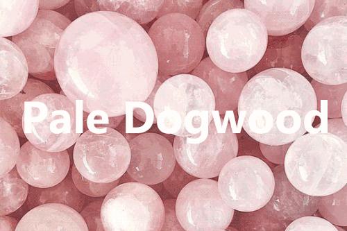 夏天千万别染这几个发色太好看了,夏天千万不要染这种发色太美了