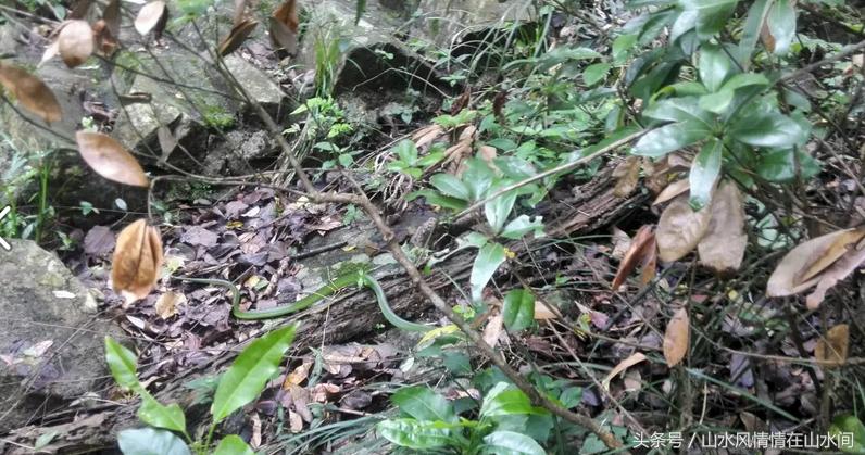 航模户外运动的关注事项,户外运动关注事项和防护措施