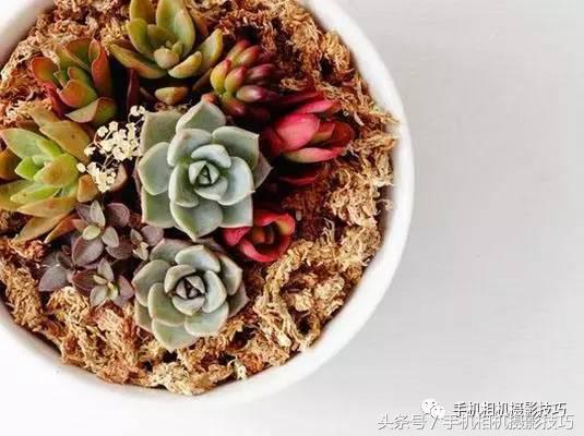 五官有硬伤的人怎么拍写真,长相一般般怎么拍照自拍