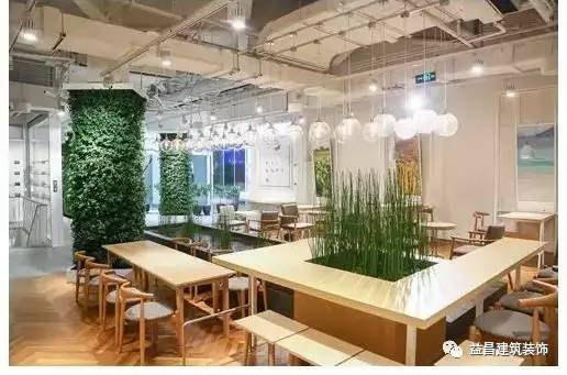 店面用绿植装修怎么弄,店面装修绿植搭配