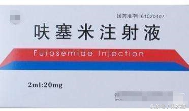 猪咳嗽呼吸困难打什么针最好,猪呼吸困难怎么治疗效果最好