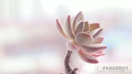 五官有硬伤的人怎么拍写真,长相一般般怎么拍照自拍