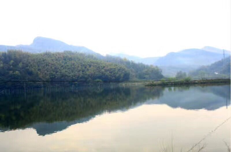 端午回老家钓到一条七星鱼竟然吐出了一条蛇！