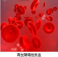 再障患者日常生活中该关注什么,急性重度再障生存几率