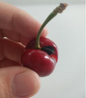 捕获迷之小屁屁一对，尝尝味道还不错