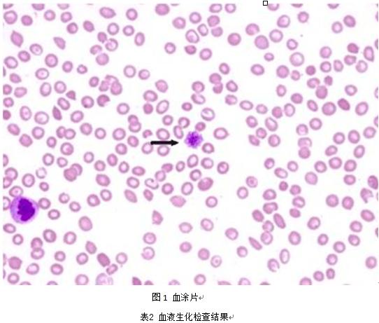 狗狗血液被蜱虫感染怎么治疗,狗狗感染蜱虫会打喷嚏吗