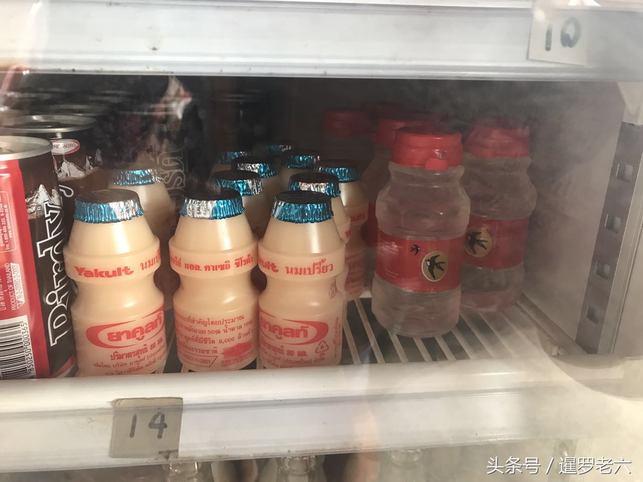 泰国的燕窝多少一瓶,泰国燕窝马来西亚燕窝